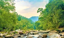 Du khách đến từ TPHCM tử vong khi leo núi dã ngoại ở Đắk Lắk