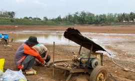 Ao hồ trơ đáy, nông dân Đắk Nông vét từng giọt nước cứu cây