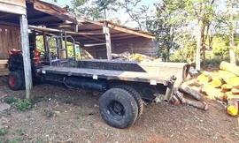 Vụ hàng trăm cây rừng bị cưa hạ: 'Đất biên phòng quản lý không phải ai cũng vào được'