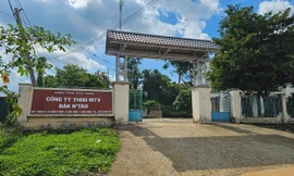 Đi tuần tra rừng, Phó giám đốc công ty lâm nghiệp ở Đắk Nông bị đánh gãy xương sườn