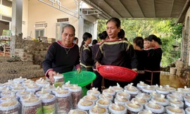 Bà con M’nông, Êđê tỉ mỉ đóng hộp đậu phộng gửi đồng bào miền Bắc