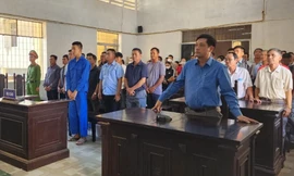 Nhiều cán bộ lĩnh án trong vụ phá rừng lớn nhất Đắk Lắk