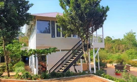 Một phó chủ tịch thị trấn ở Đắk Nông bị tạm đình chỉ công tác