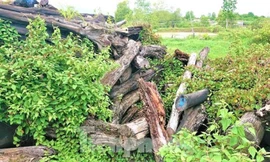 Kỷ luật nguyên Phó Giám đốc Sở Tài chính Đắk Lắk