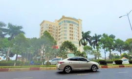 Cho thuê đất trái quy định, Chủ tịch Công ty cao su Đắk Lắk bị kỷ luật 