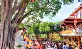 Thành tâm gửi mong cầu vào cây ước nguyện đầu xuân