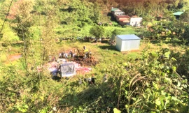 Xe chở hàng tạp hóa bất ngờ lao xuống vực, tài xế tử vong