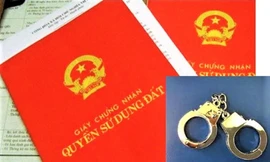 Bắt khẩn cấp nữ 'doanh nhân' bất động sản liên quan đường dây làm ‘sổ đỏ’ nhanh ở Đắk Nông