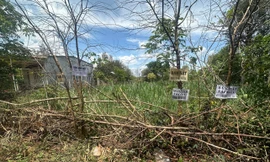 Bất động sản Đắk Lắk bất ngờ ‘sốt nóng’ theo tin đồn