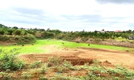 Hồ đập cạn trơ đáy, cà phê sắp 'chết khát' giữa mùa khô