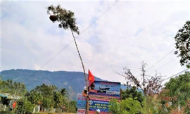 Nguy cơ phóng điện gây chết người khi dựng cây nêu ngày Tết