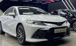 Loạt biển số ô tô siêu đẹp ở Đắk Lắk sắp được đấu giá công khai