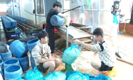 Vụ sản xuất gần 3.000 tấn giá đỗ ngậm hoá chất, nguy cơ chết người: Chính quyền nói gì ?