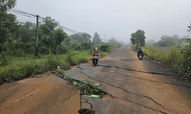 Đường tiền tỷ bỏ hoang gây lãng phí ở phố thị hoa vàng 