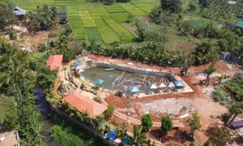 Xây dựng 4 công trình trái phép trên đất trồng lúa ở TP. Buôn Ma Thuột 
