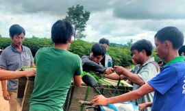 Sự thật vụ đưa quan tài lên rừng vì nhà nghèo không có đất chôn