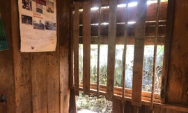 Phòng học ván gỗ mối mọt, phụ huynh lo ngay ngáy khi con đến trường