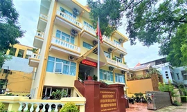 Thu hồi chứng chỉ hành nghề phó giám đốc phụ trách cùng 4 thuộc cấp