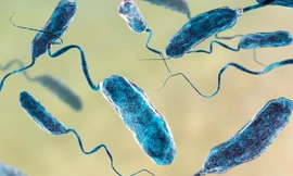 Diễn biến sức khỏe bé gái bị nhiễm 'vi khuẩn ăn thịt người'