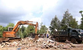 Cưỡng chế xong 64 công trình trái phép trên đất cà phê, hơn 500 điểm khác vào tầm ngắm