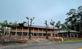 Đất rừng Đắk Nông bị lấn chiếm, đề nghị kiểm điểm lãnh đạo công ty lâm nghiệp