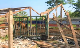 Nguyên Bí thư Tỉnh ủy Đắk Lắk tháo dỡ trang trại khỏi khu bảo tồn