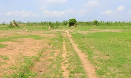 Để mất hơn nghìn héc-ta rừng tự nhiên, giám đốc công ty bị xem xét kỷ luật