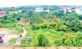 Đắk Nông: Triệt tiêu quy hoạch treo, không ‘hợp thức hóa’ sai phạm
