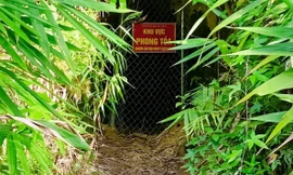 Chui vào hầm tìm vàng, ba người tử vong