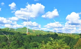 Một công ty điện gió xin phát điện với giá giảm 50%