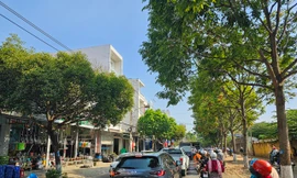 Đắk Lắk chỉ đạo cung cấp hồ sơ dự án cây xanh theo yêu cầu Bộ Công an