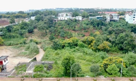 Thanh tra toàn diện việc quản lý, sử dụng gần 2.000 ha đất thành phố Gia Nghĩa