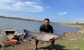 Câu được cá trắm đen 'khủng' hơn 36kg ở hồ nước đẹp nhất Buôn Ma Thuột