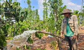 Nắng nóng vượt mốc lịch sử và những cảnh báo thiên tai bất thường tại Đắk Lắk