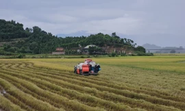 Một chủ tịch xã ở Đắk Lắk bị phê bình do để 'khủng hoảng thông tin' trên mạng