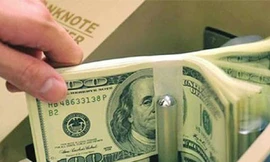 Kiều hồi năm 2013 dự kiến đạt 11 tỉ USD