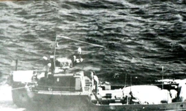 Người anh trong Nhật ký Đặng Thùy Trâm