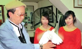 Ông hoàng bồ câu và bolero