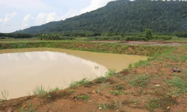 Hai học sinh trượt chân ngã xuống hồ tử vong khi đi bắt ốc