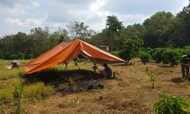 Hiện trường nơi ông Nhiệp được phát hiện tử vong