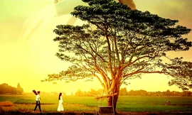 Park Hang Seo, Như Quỳnh, Thái Phiên… đu theo 'Mắt biếc'