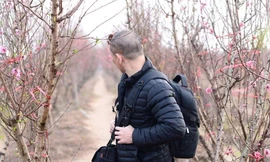 Nhà thơ 'thả thính' siêu 'dính'