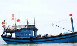 Không thể nói là vô tình!