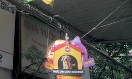 Tấm biển quảng cáo được treo lủng lẳng trên dây điện