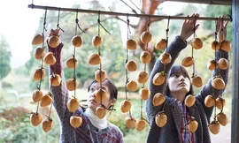 “Little Forest”: Bộ phim về những món ăn ngon và thông điệp chúng cất giấu của Ichiko