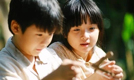 Bạn đọc sáng tác: Tôi cứu một chú chim sẻ nhỏ, xây đắp êm đềm kỷ niệm tuổi thơ