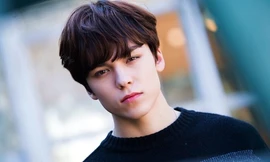 Trong thế giới fangirl: Vernon là chàng hoàng tử bạch mã của một cô gái thuở mộng mơ
