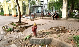 Vỉa hè công viên Thống Nhất bị hoang hoá xuống cấp nghiêm trọng