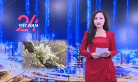 NHỊP SỐNG 24h: Miền Bắc sắp đón nhiều đợt không khí lạnh, nền nhiệt giảm xuống dưới 10 độ C