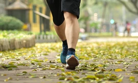 Hà Nội dứt mưa đêm bước vào chuỗi ngày hửng nắng 